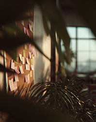 Sunlit design studio with post-it notes and plants